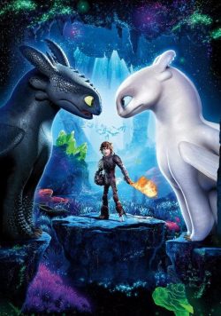 HOW TO TRAIN YOUR DRAGON; 2 Movie Poster Print