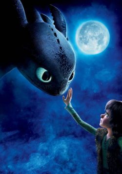 HOW TO TRAIN YOUR DRAGON Movie Poster Print