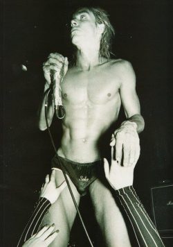IGGY POP Cold Metal Poster Print