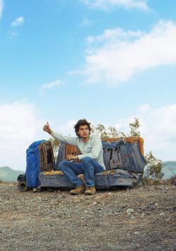 INTO THE WILD Movie Poster Print