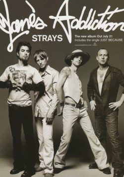 JANE?S ADDICTION Strays Poster Print