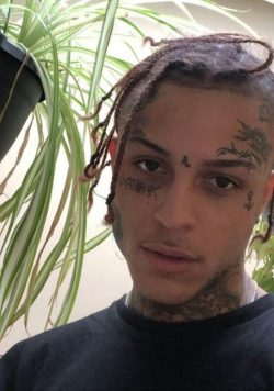 LIL SKIES Shelby Poster Print