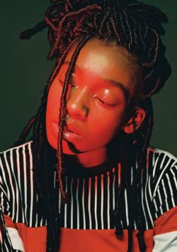 LITTLE SIMZ Grey Area 2019 Tour Poster