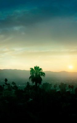 ONCE UPON A TIME IN HOLLYWOOD Movie Poster Print