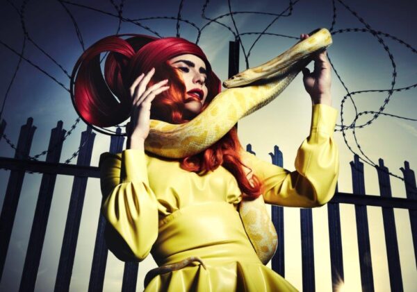 PALOMA FAITH A Perfect Contradiction Poster Print