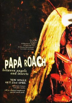 PAPA ROCH Between Angels & Insects Poster Print