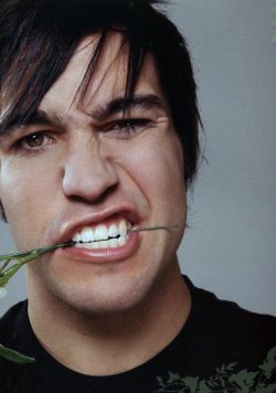 PETE WENTZ Fall Out Boy Poster Print