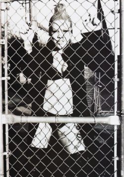PINK (P!NK) Alecia Moore Poster Print