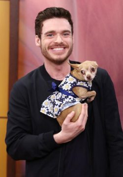 RICHARD MADDEN Bodyguard TV Show Poster Print
