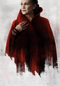 STAR WARS; THE LAST JEDI Movie Poster Print