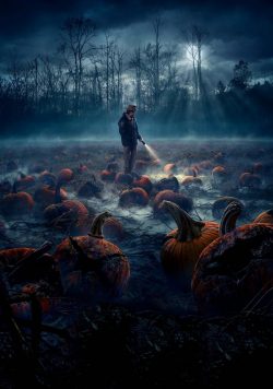 STRANGER THINGS TV Show Poster Print