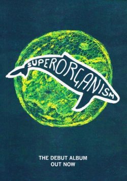SUPERORGANISM The Debut Album Poster Print