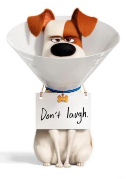 THE SECRET LIFE OF PETS Movie Poster Print