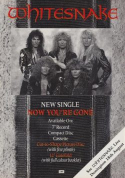 WHITESNAKE Now You?re Gone Poster Print