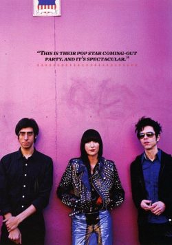 YEAH YEAH YEAHS Mosquito Poster Print