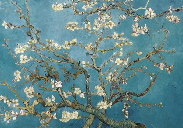 VINCENT VAN GOGH Almond Blossoms Poster