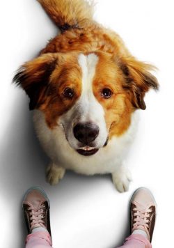 A DOGS JOURNEY Movie 2019 Poster