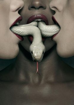 American Horror Story posters and prints. American Horror Story poster and prints are available in 3 different sizes. Our prints are all high quality professionally printed photographs on to premium quality 260gsm glossy paper. American Horror Story (sometimes abbreviated as AHS) is an American anthology horror television series created by Ryan Murphy and Brad Falchuk for the cable network FX. Each season is conceived as a self-contained miniseries, following a different set of characters and settings, and a storyline with its own "beginning, middle, and end." Some plot elements of each season are loosely inspired by true events.[4][5][6] Many actors appear in more than one season, but often play a new character. Evan Peters, Sarah Paulson, and Lily Rabe have returned most frequently, all appearing in nine of the ten seasons with Frances Conroy appearing in seven and Kathy Bates appearing in six. Other notable actors such as Denis O'Hare, Jessica Lange, Emma Roberts, Jamie Brewer, Angela Bassett, Adina Porter, and Finn Wittrock appear in five of the ten seasons. The first season, retroactively subtitled Murder House, takes place in Los Angeles, California, during 2011, and centers on a family that moves into a house haunted by its deceased former occupants. The second season, subtitled Asylum, takes place in Massachusetts, during 1964, and follows the stories of the patients and staff of an institution for the criminally insane. The third season, subtitled Coven, takes place in New Orleans, Louisiana, during 2013, and follows a coven of witches who face off against those who wish to destroy them. The fourth season, subtitled Freak Show, takes place in Jupiter, Florida, during 1952, and centers around one of the last remaining American freak shows and their struggle for survival. The fifth season, subtitled Hotel, takes place in Los Angeles, California, during 2015, and focuses on the staff and guests of a supernatural hotel. The sixth season, subtitled Roanoke, takes place in North Carolina, during 2014–2016, and focuses on the paranormal events that take place at an isolated farmhouse haunted by the deceased Roanoke colony. The seventh season, subtitled Cult, takes place in the fictional suburb of Brookfield Heights, Michigan, during 2016–2017, and centers on a cult terrorizing the residents in the aftermath of the 2016 U.S. presidential election. The eighth season, subtitled Apocalypse, features the return of the witches from Coven as they battle the Antichrist from Murder House in an attempt to prevent the apocalypse. The ninth season, subtitled 1984, takes place outside of Los Angeles, California, during the titular year, 1984, and focuses on a group of young staff members at a summer camp getting ready to reopen after a massacre. In August 2018, the series was greenlit for a tenth season. In January 2020, FX renewed the series for three more seasons. Although reception to individual seasons has varied, American Horror Story largely has been well received by television critics, with the majority of the praise going towards the cast, particularly Jessica Lange, who won two Emmy Awards, a Golden Globe Award, and a Screen Actors Guild Award for her performances. Kathy Bates and James Cromwell each won an Emmy Award for their performances, while Lady Gaga won a Golden Globe Award. The series draws consistently high ratings for the FX network, with its first season being the most-viewed new cable series of 2011. Click here for more American Horror Story posters