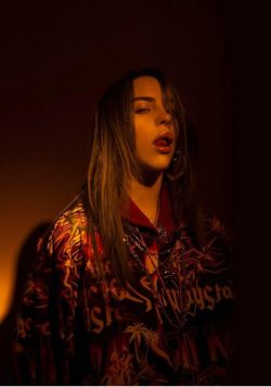 BILLIE EILISH When We Fall Asleep 2019 Tour Poster