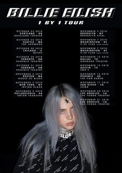 BILLIE EILISH Don't Smile at Me Poster
