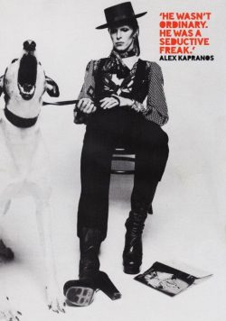 DAVID BOWIE Thin White Duke Poster