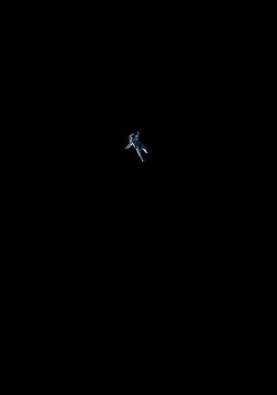 GRAVITY Movie Poster Print