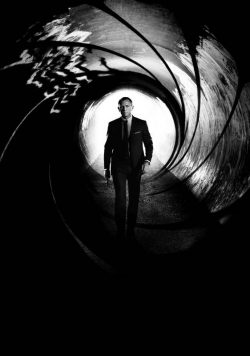 JAMES BOND; SKYFALL Movie Poster Print