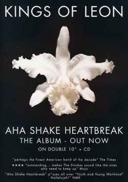KINGS OF LEON Aha Shake Heartbreak Poster