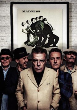 MADNESS Cant Touch Us Now Poster Print