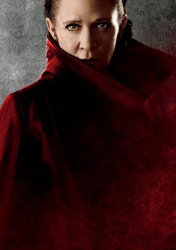 STAR WARS; THE LAST JEDI Movie Poster Print