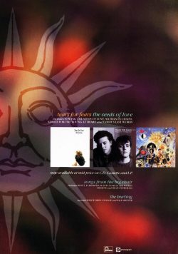 TEARS FOR FEARS The Seeds Of Love Poster Print