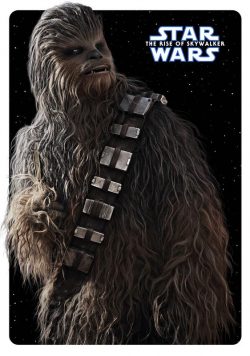 STAR WARS: THE RISE OF THE SKYWALKER Chewbacca Poster Print