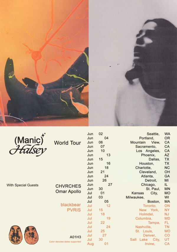 HALSEY Manic 2020 North American Tour: Poster