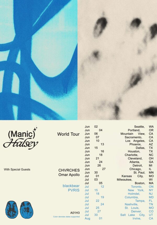 HALSEY Manic 2020 North American Tour: Poster