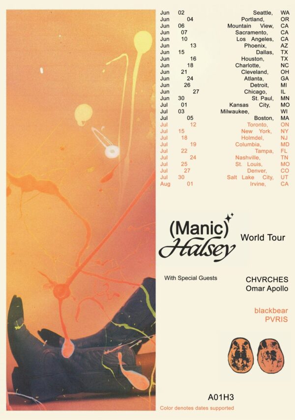 HALSEY Manic 2020 World Tour: America & Canada 2020 Tour Poster