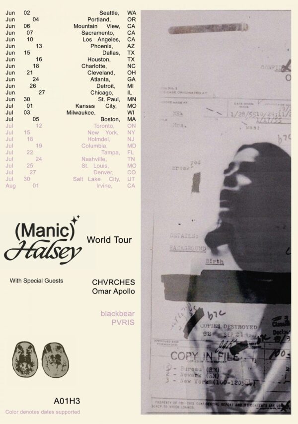 HALSEY Manic 2020 World Tour: North American & Canadian 2020 Tour Poster