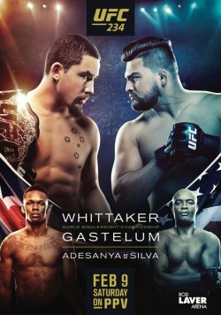 UFC 234 Israel Adesanya vs. Anderson Silva Poster
