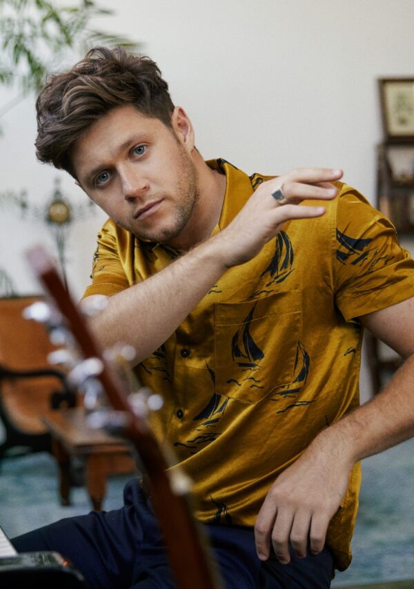 NIALL HORAN The Show Poster Print