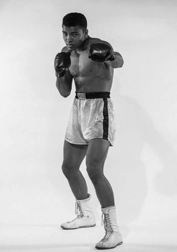 Muhammad Ali Float Like a Butterfly, Sting Like a Bee Boxing Poster