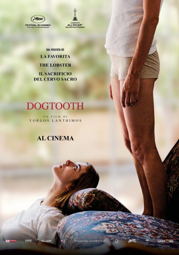 Dogtooth (Kynodontas) Movie Poster - Classic 00's Vintage Poster Print