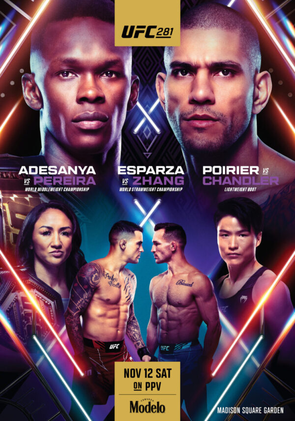 UFC 281 Israel Adesanya vs. Alex Pereira 2022 MMA Fight Poster