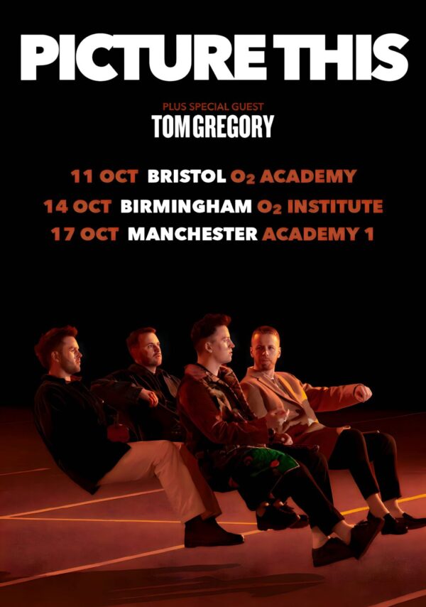 PICTURE THIS Parked Car 2023 UK Tour Poster Print