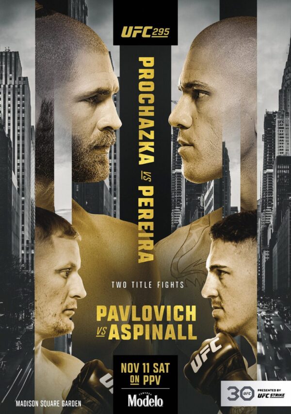 UFC 295 Jiří Procházka vs. Alex Pereira 2023 Fight Poster Print