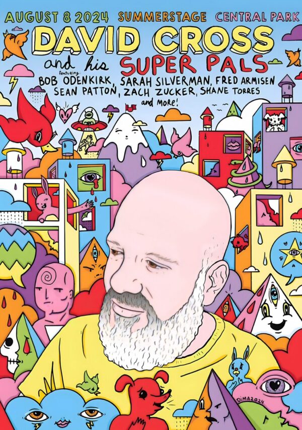 DAVID CROSS & Super Pals 2024 New York Central Park Stand Up Comedy Tour Poster Print 