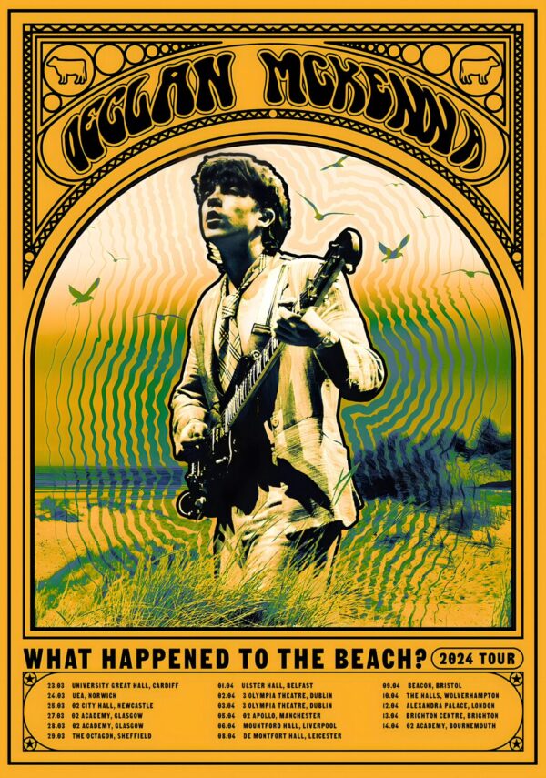 DECLAN McKENNA What Happened To The Beach 2024 UK Tour Poster