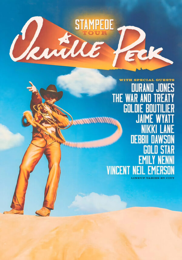 ORVILLE PARK 2024 Summer North America Tour Poster