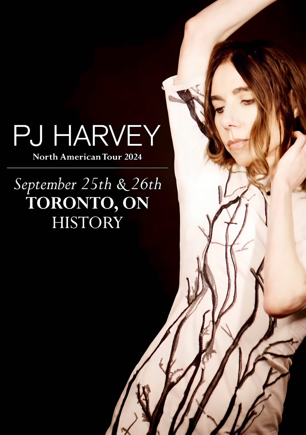 PJ HARVEY I Inside The Old Year Dying 2024 Tour: TORONTO History Poster Print