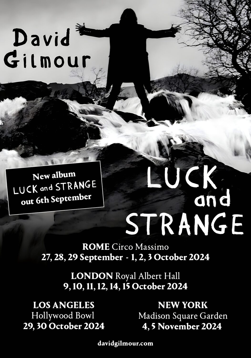 DAVID GILMOUR Luck & Strange 2024 Tour: ROME - LONDON - LOS ANGELES - NEW YORK Poster