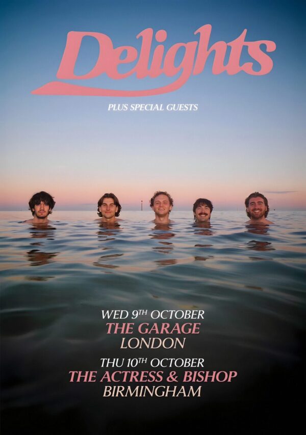 DELIGHTS (band) If Heaven Looks A Little Like This 2024 UK Tour Poster