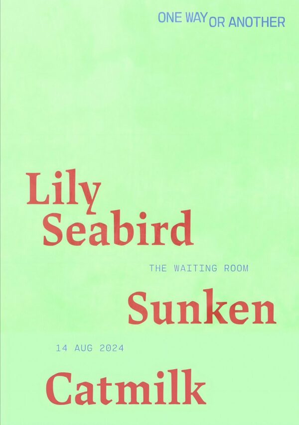 LILY SEABIRD 2024 Tour LONDON The Waiting Room Poster